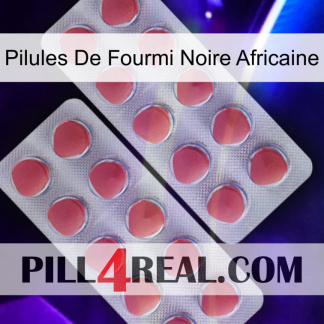 African Black Ant Pills 19